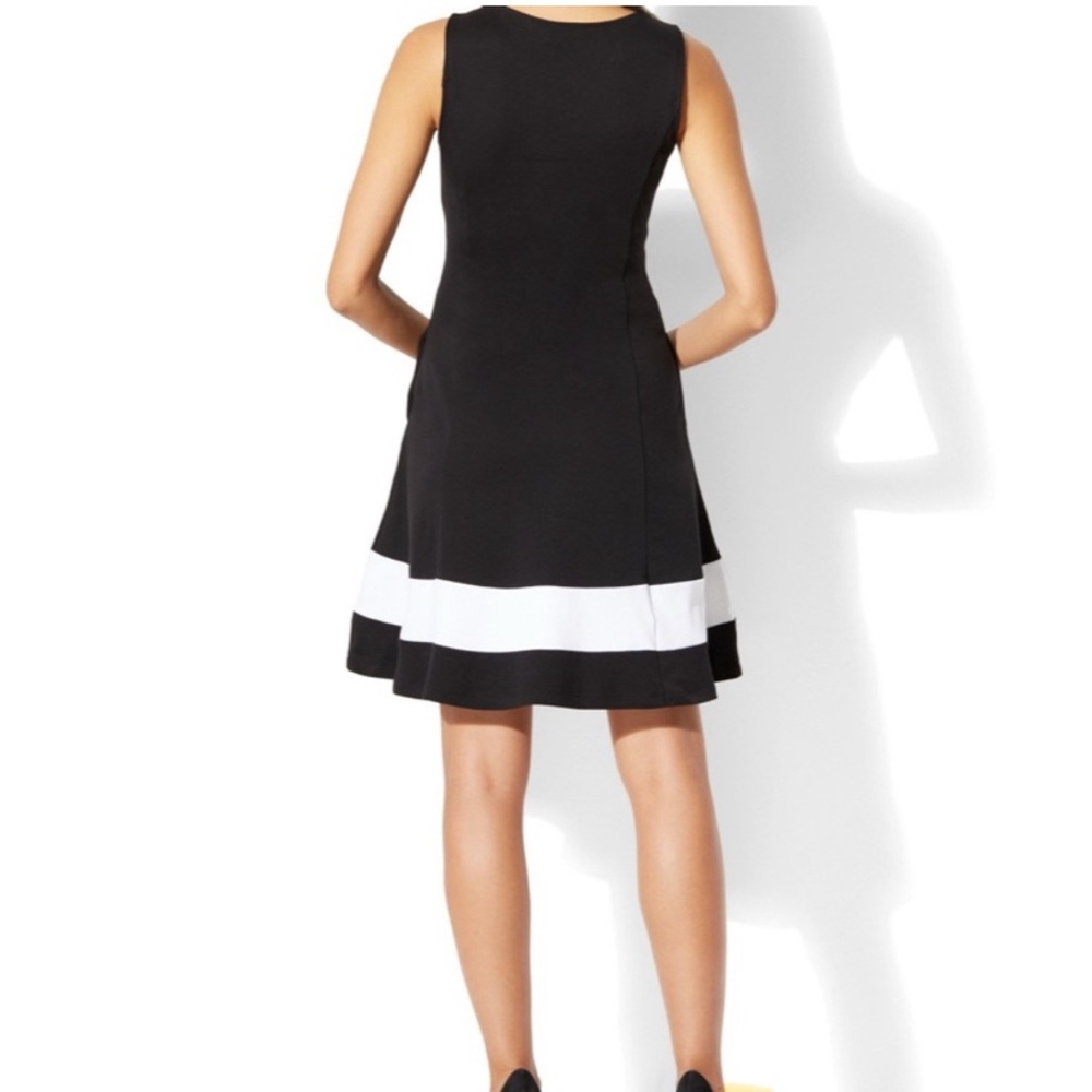 New York & Company Black Dress with White Accent